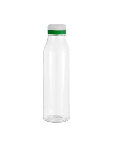 Botella "ANDINA FROST"