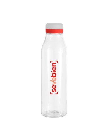 Botella "ANDINA FROST"