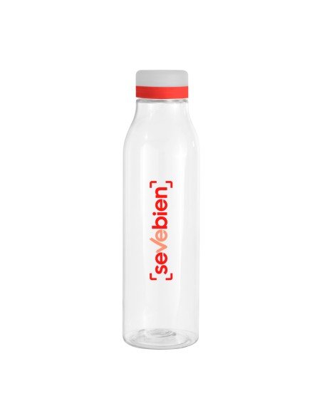 Botella "ANDINA FROST"