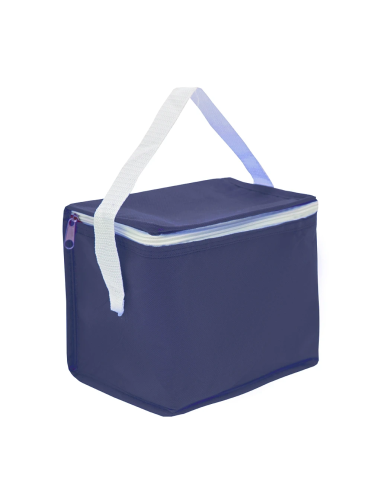 Cooler Mini
