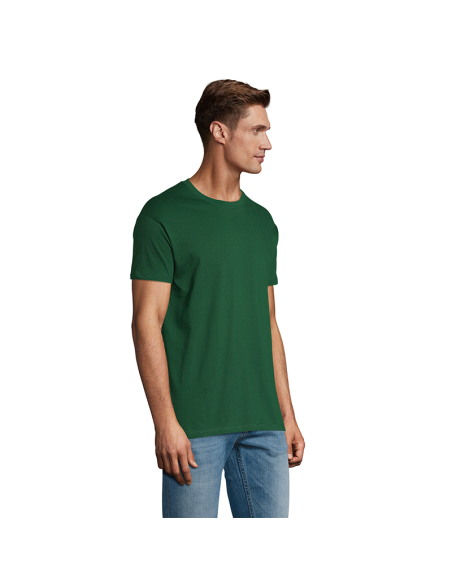 Polera regent
