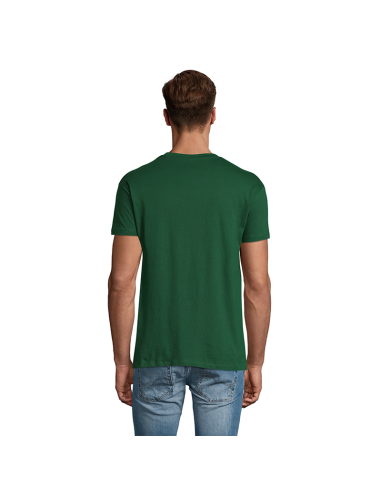 Polera regent