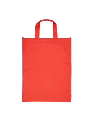 Bolsa Z1 41x31x10