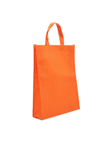 Bolsa Z1 41x31x10