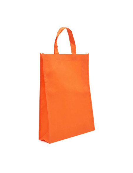 Bolsa Z1 41x31x10