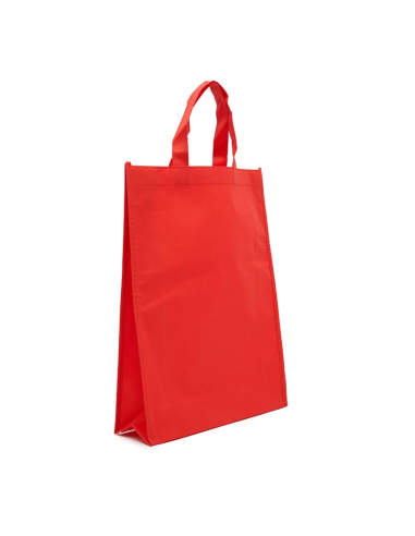 Bolsa Z1 41x31x10