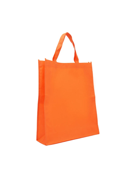 Bolsa Z3 44x38x12