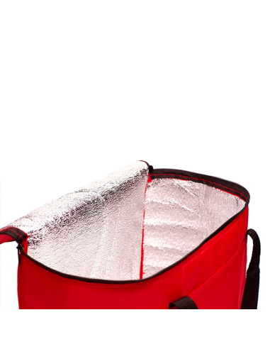 Cooler Artic
