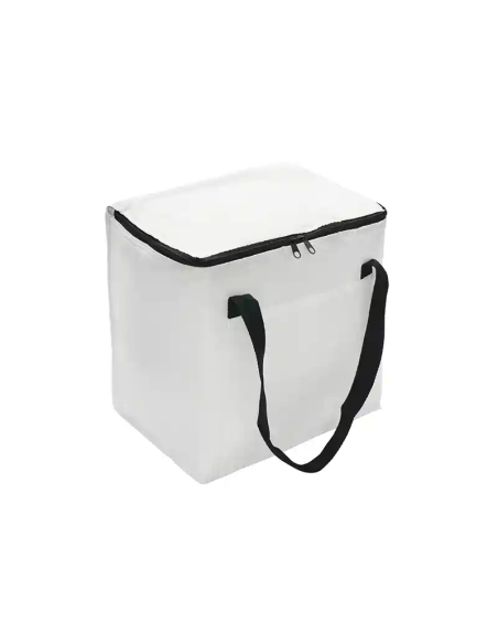 Cooler Artic