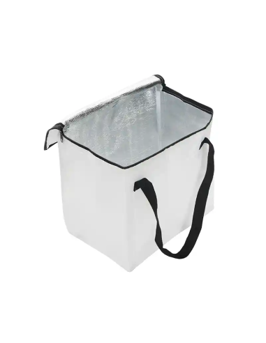 Cooler Artic