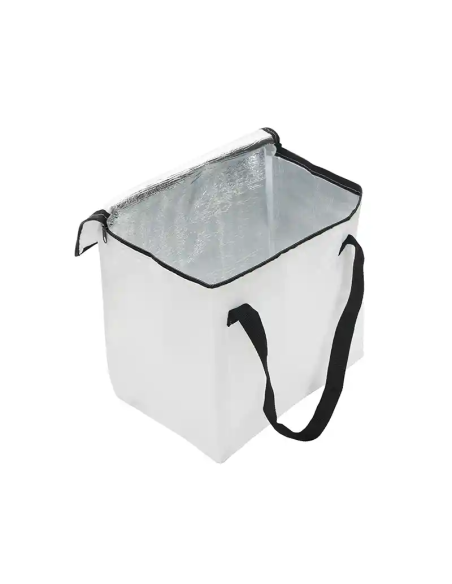 Cooler Artic