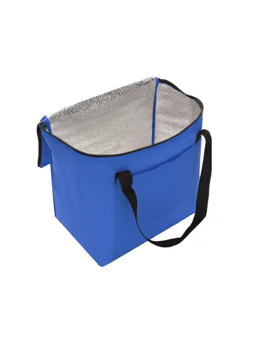 Cooler Artic