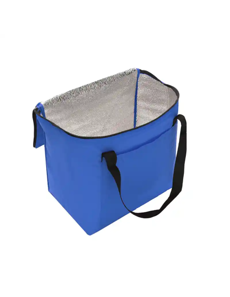 Cooler Artic